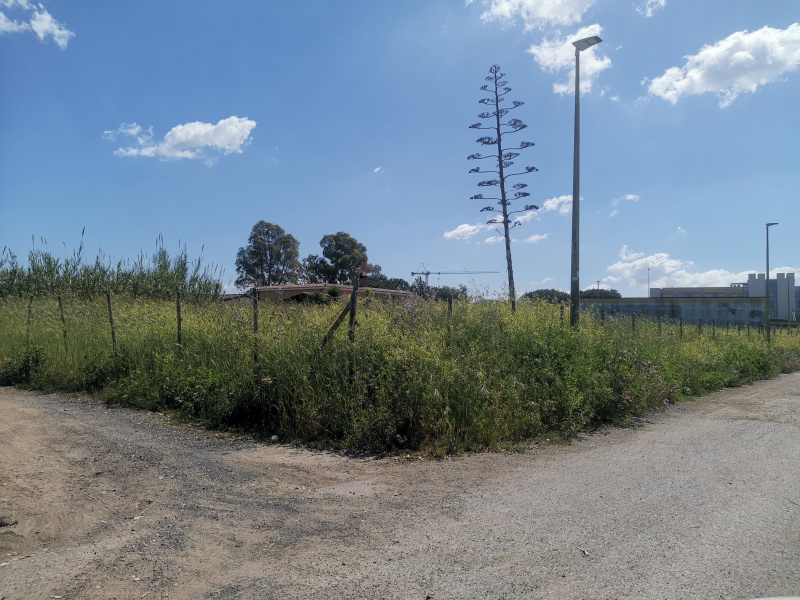 Tipologia Immobile: terreno agricolo Provincia: roma Comune: roma Località: infernetto Indirizzo: Via Denno