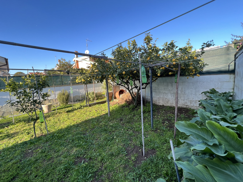 Tipologia Immobile: villa/indipendente Provincia: roma Comune: ardea Località: nuova california Indirizzo: Via Piave