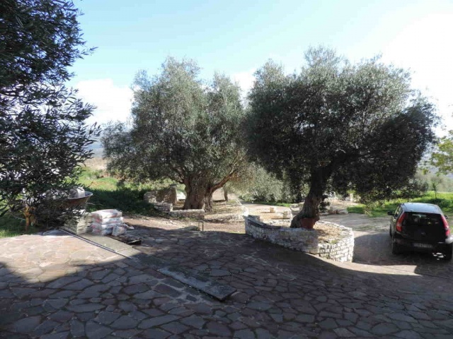 Tipologia Immobile: cielo-terra Provincia: roma Comune: guidonia montecelio Località: guidonia Indirizzo: Via Vecchia di Carcibove