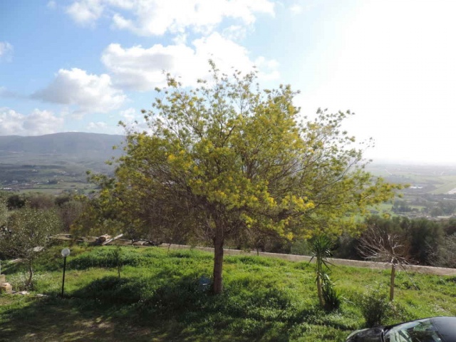 Tipologia Immobile: cielo-terra Provincia: roma Comune: guidonia montecelio Località: guidonia Indirizzo: Via Vecchia di Carcibove