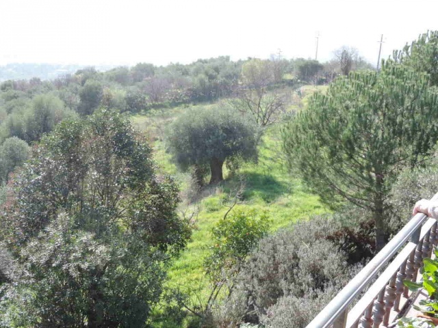 Tipologia Immobile: cielo-terra Provincia: roma Comune: guidonia montecelio Località: guidonia Indirizzo: Via Vecchia di Carcibove