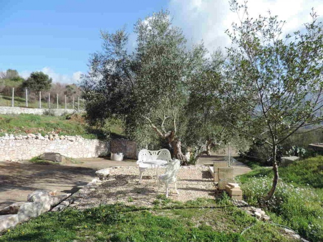 Tipologia Immobile: cielo-terra Provincia: roma Comune: guidonia montecelio Località: guidonia Indirizzo: Via Vecchia di Carcibove