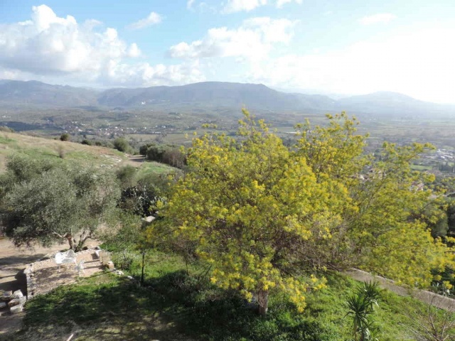 Tipologia Immobile: cielo-terra Provincia: roma Comune: guidonia montecelio Località: guidonia Indirizzo: Via Vecchia di Carcibove