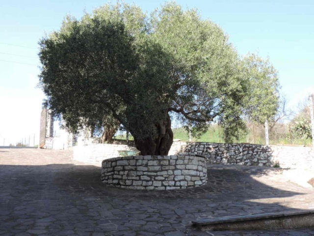 Tipologia Immobile: cielo-terra Provincia: roma Comune: guidonia montecelio Località: guidonia Indirizzo: Via Vecchia di Carcibove