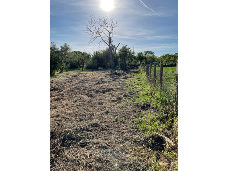 Tipologia Immobile: terreno agricolo Provincia: roma Comune: ariccia Località:  Indirizzo: Via di Mezzo