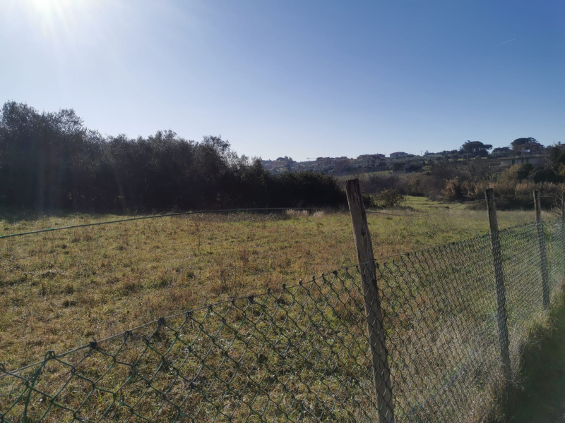 Tipologia Immobile: terreno agricolo Provincia: roma Comune: frascati Località: macchia dello sterparo Indirizzo: Via Casal di Mario