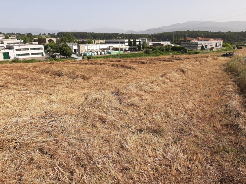 Tipologia Immobile: terreno edificabile Provincia: frosinone Comune: paliano Località:  Indirizzo: