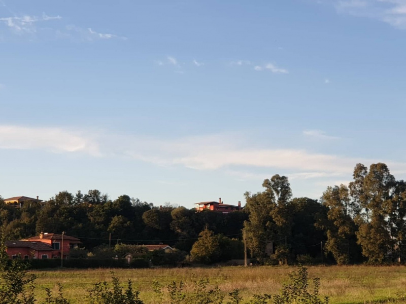 Tipologia Immobile: terreno agricolo Provincia: roma Comune: ardea Località: castagnetta Indirizzo: Via Laurentina