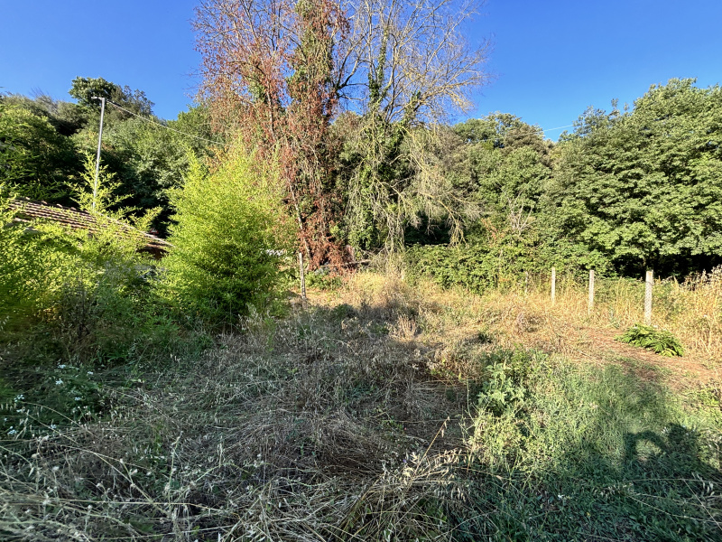 Tipologia Immobile: terreno agricolo Provincia: roma Comune: gallicano nel lazio Località:  Indirizzo: Via Val Pantano Prima
