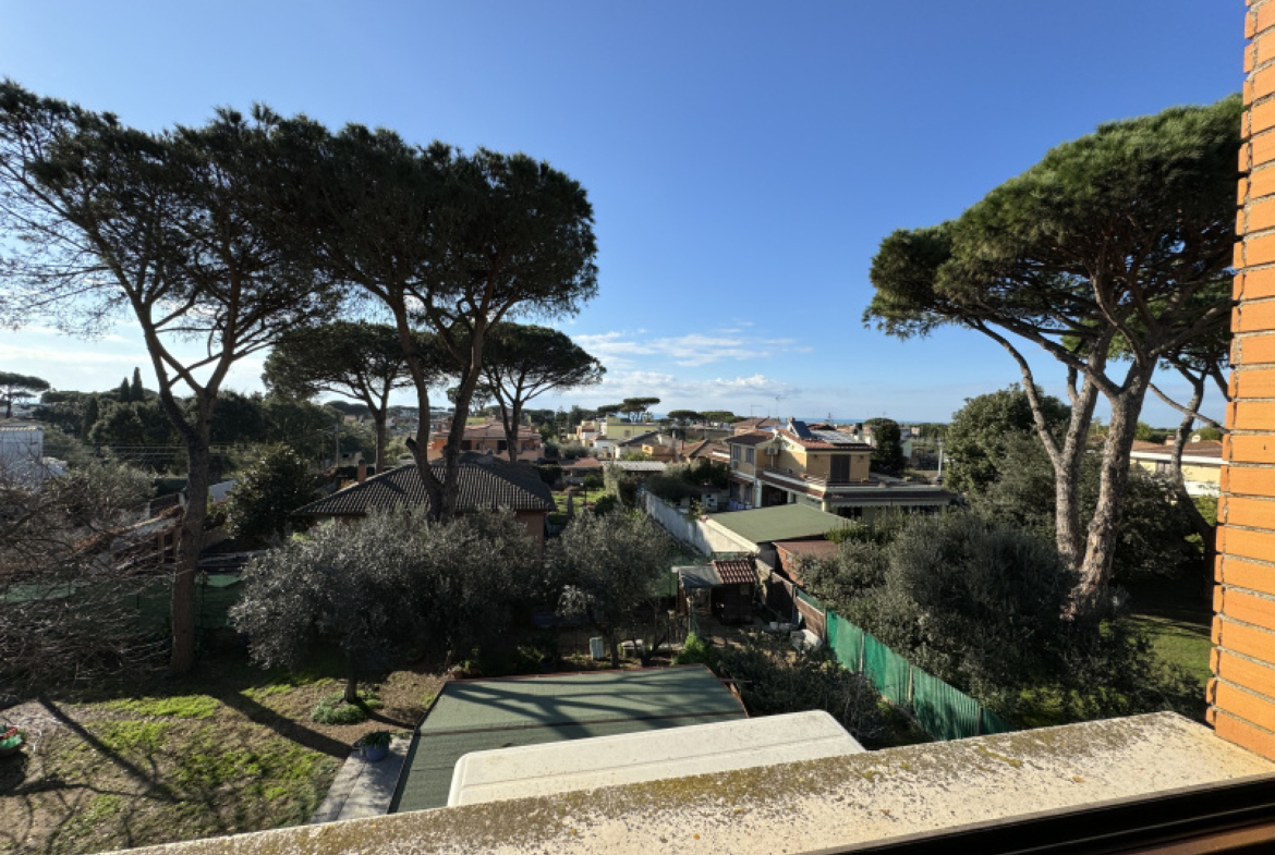 Tipologia Immobile: appartamento Provincia: roma Comune: anzio Località: lido dei pini Indirizzo: Via delle Tuberose