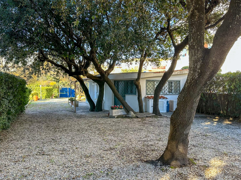 Tipologia Immobile: appartamento Provincia: roma Comune: anzio Località: lavinio lido di enea Indirizzo: Viale Conchiglia di Mare