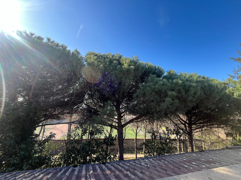 Tipologia Immobile: appartamento Provincia: roma Comune: ariccia Località:  Indirizzo: Viale Piave