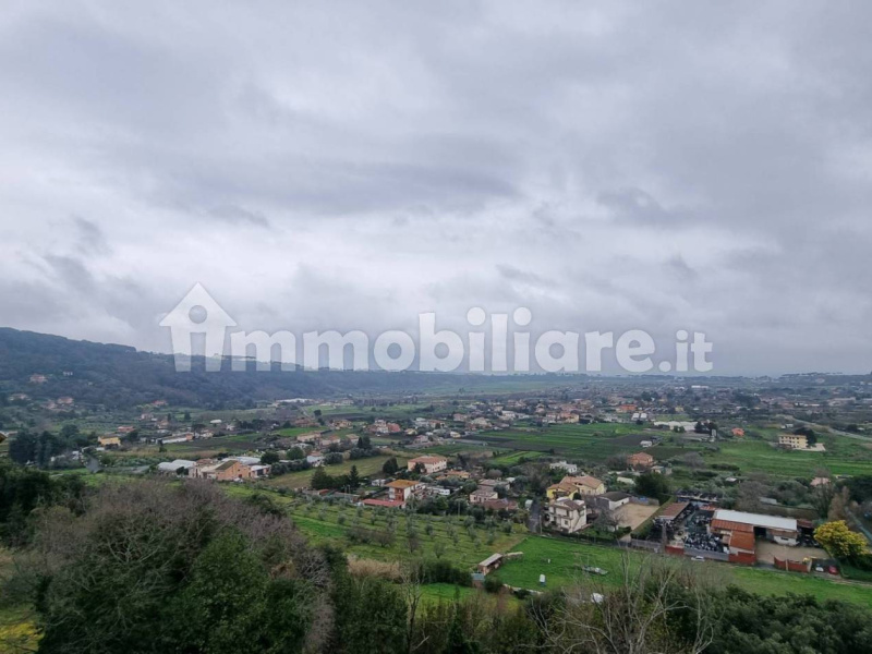 Tipologia Immobile: appartamento Provincia: roma Comune: ariccia Località:  Indirizzo: Vicolo del Mattatoio