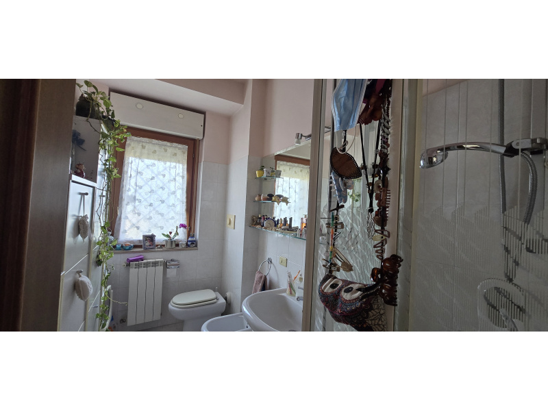 Tipologia Immobile: appartamento Provincia: roma Comune: ariccia Località:  Indirizzo: Via delle Albicocche