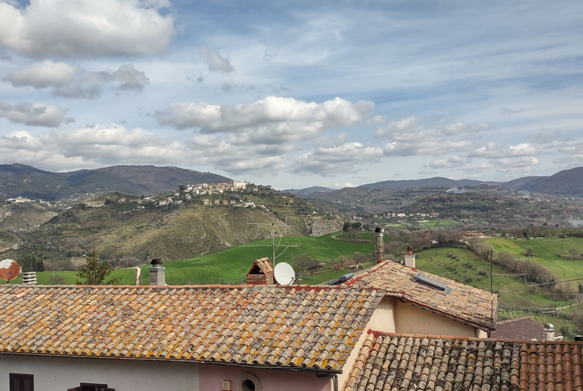 Tipologia Immobile: appartamento Provincia: rieti Comune: castelnuovo di farfa Località:  Indirizzo: Via Tolomei