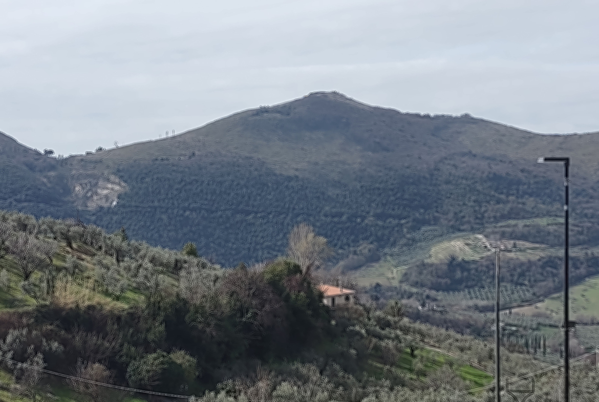 Tipologia Immobile: appartamento Provincia: rieti Comune: castelnuovo di farfa Località:  Indirizzo: Via Tolomei