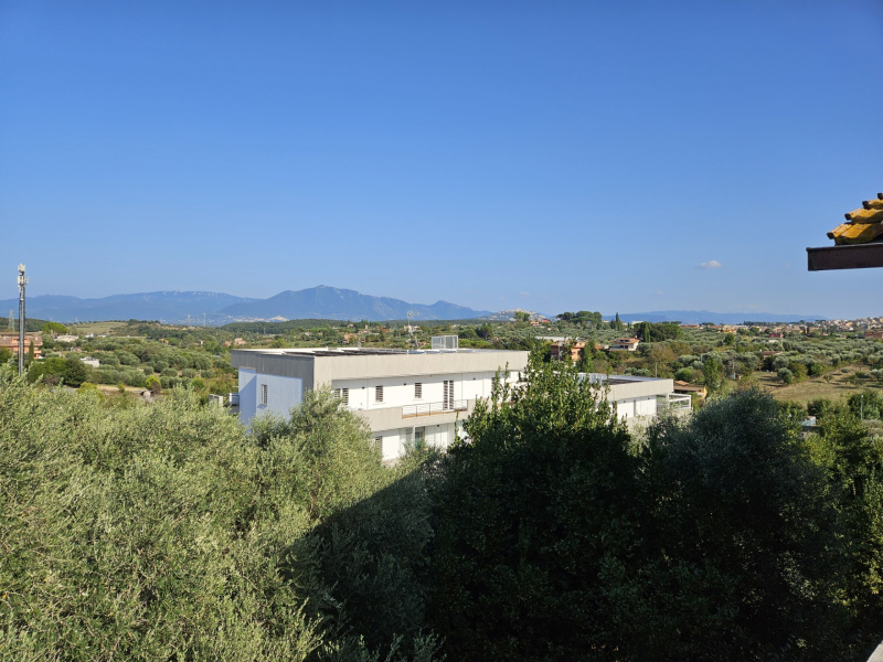 Tipologia Immobile: appartamento Provincia: roma Comune: monterotondo Località: monterotondo Indirizzo: Via Bruno Angellotti