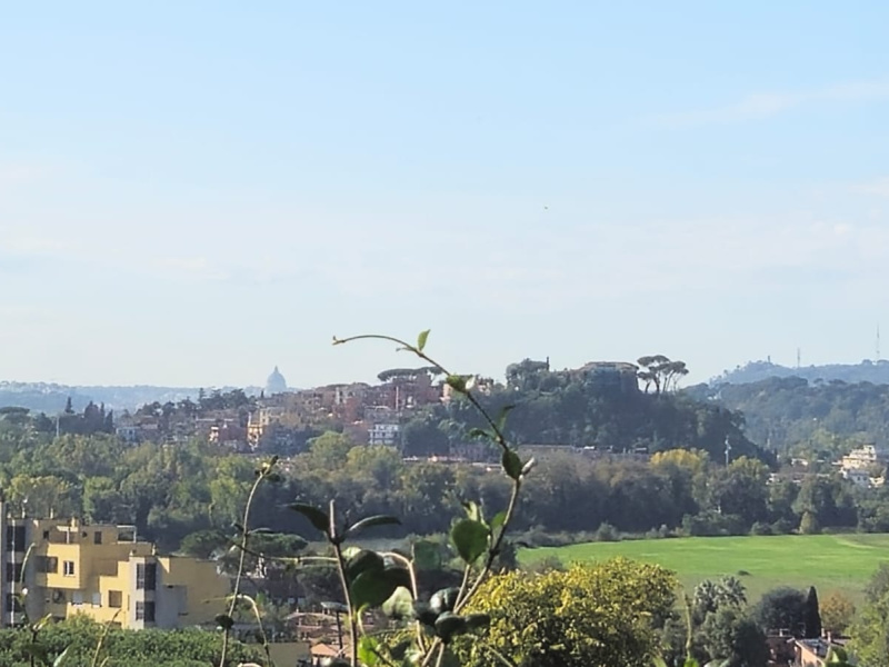 Tipologia Immobile: appartamento Provincia: roma Comune: roma Località: settebagni Indirizzo: Via Poggio a Caiano