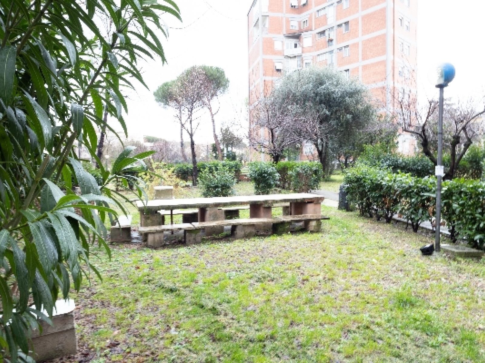 Tipologia Immobile: appartamento Provincia: roma Comune: roma Località: torraccia - san basilio Indirizzo: Via Senigallia