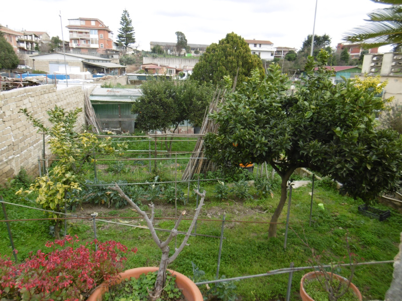 Tipologia Immobile: appartamento Provincia: roma Comune: roma Località: pisana Indirizzo: Via Samugheo