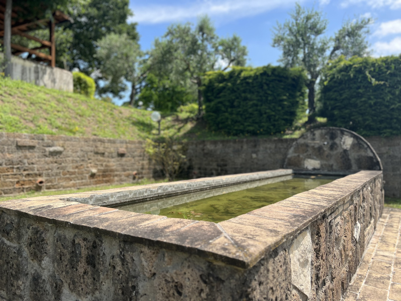Tipologia Immobile: hotel Provincia: viterbo Comune: orte Località:  Indirizzo: Località Seripola