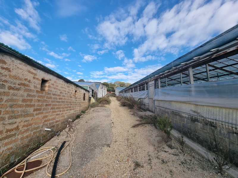 Tipologia Immobile: magazzino Provincia: roma Comune: santa marinella Località: fiori Indirizzo: Via delle Gardenie