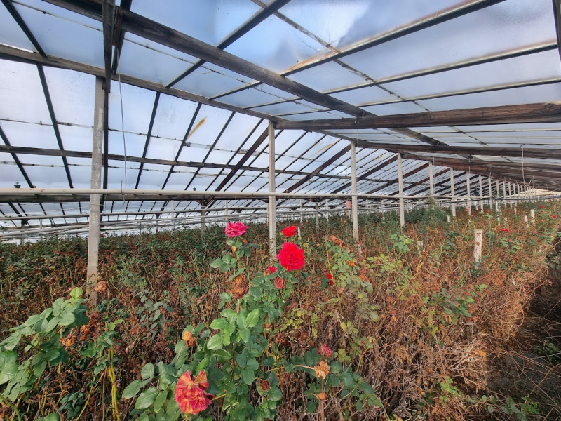 Tipologia Immobile: magazzino Provincia: roma Comune: santa marinella Località: fiori Indirizzo: Via delle Gardenie