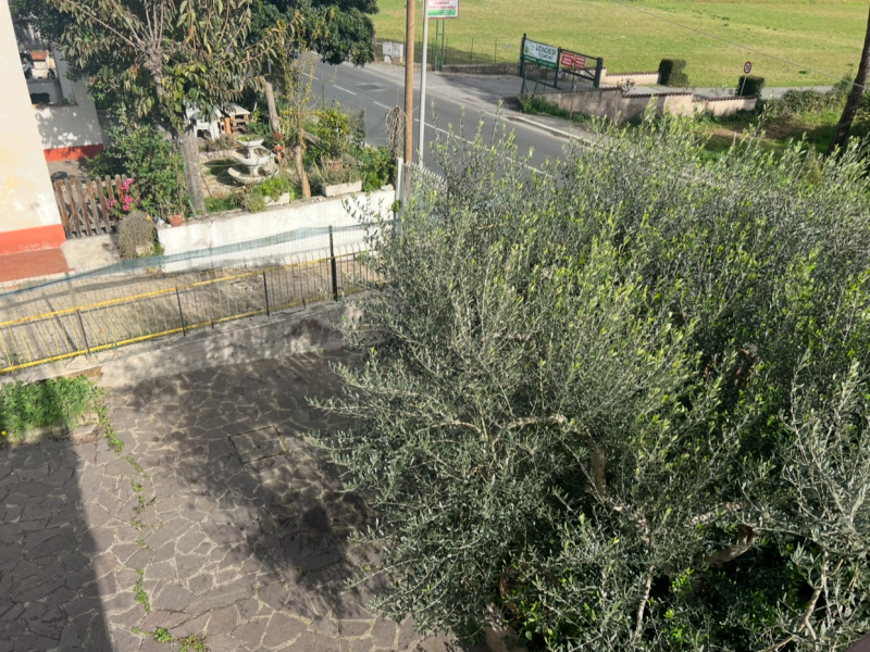 Tipologia Immobile: palazzo/terratetto Provincia: roma Comune: roma Località: casal selce Indirizzo: Via di Casal Selce