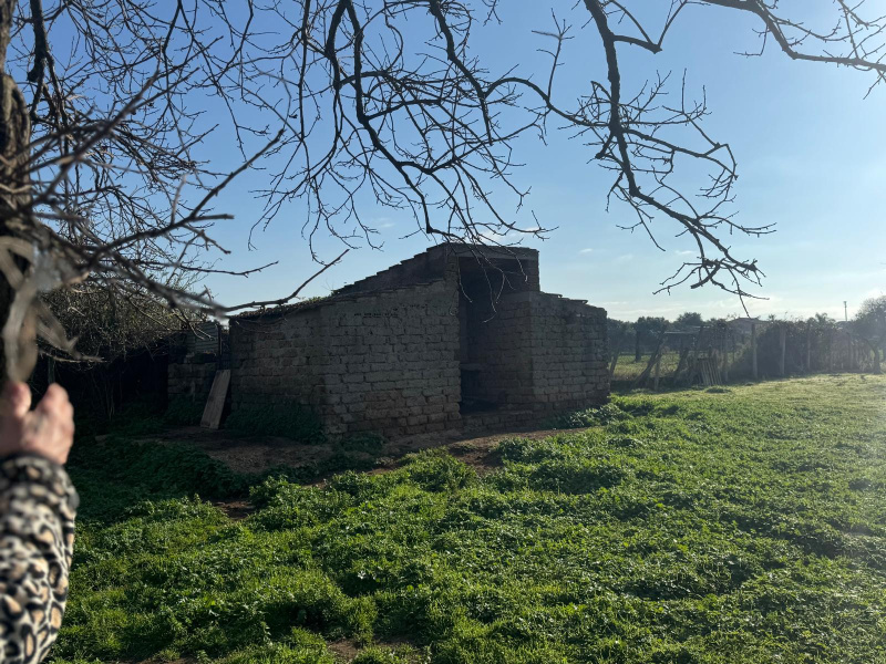 Tipologia Immobile: rustico/casale Provincia: roma Comune: anzio Località: lido dei pini Indirizzo: Via Giuseppe Verdi