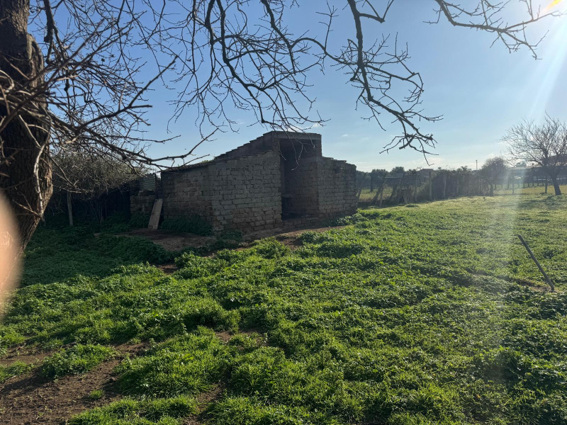 Tipologia Immobile: rustico/casale Provincia: roma Comune: anzio Località: lido dei pini Indirizzo: Via Giuseppe Verdi