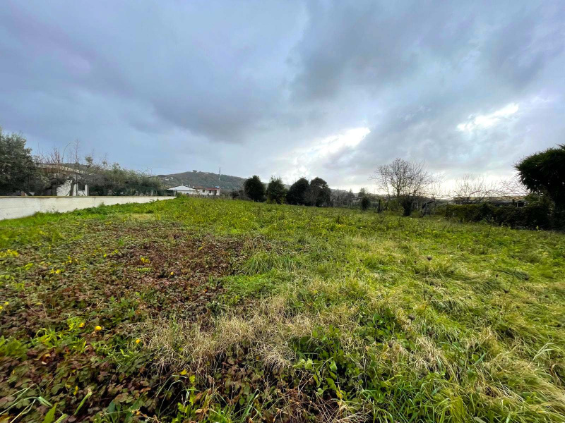 Tipologia Immobile: terreno agricolo Provincia: roma Comune: ariccia Località:  Indirizzo: Via Casaletto