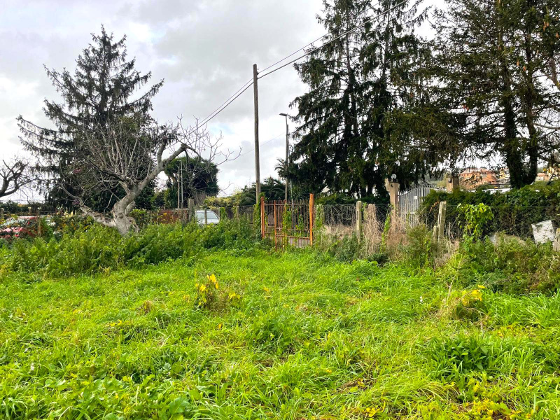 Tipologia Immobile: terreno agricolo Provincia: roma Comune: ariccia Località:  Indirizzo: Via Casaletto
