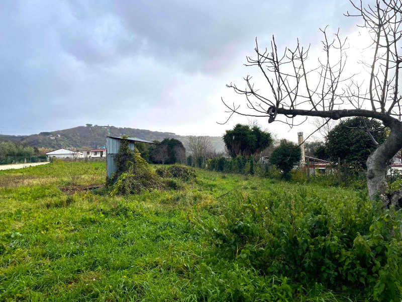 Tipologia Immobile: terreno agricolo Provincia: roma Comune: ariccia Località:  Indirizzo: Via Casaletto