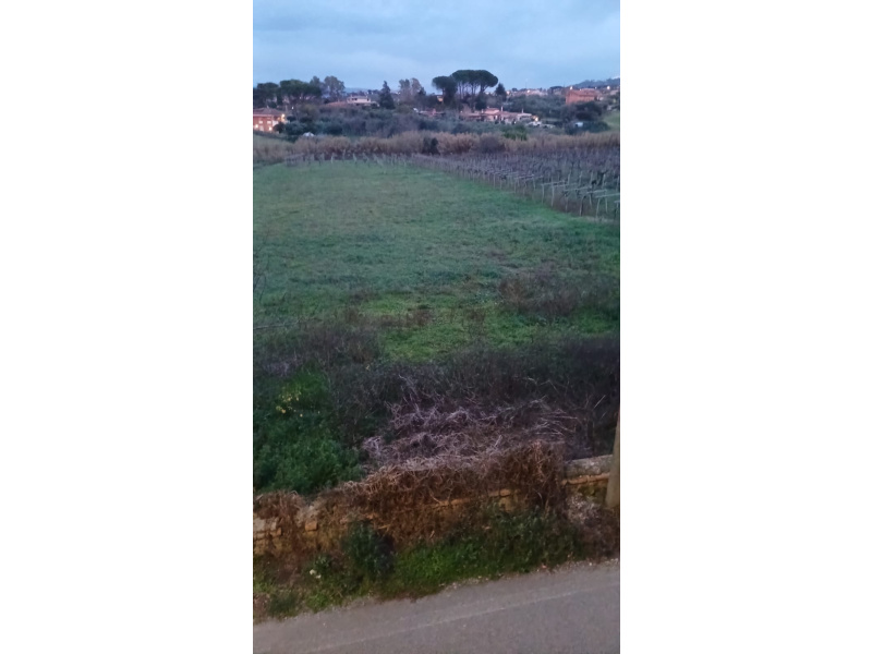 Tipologia Immobile: terreno agricolo Provincia: roma Comune: frascati Località: vermicino Indirizzo: Via San Matteo