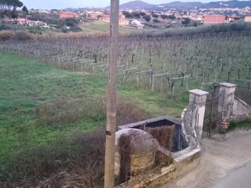Tipologia Immobile: terreno agricolo Provincia: roma Comune: frascati Località: vermicino Indirizzo: Via San Matteo