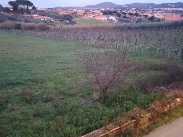 Tipologia Immobile: terreno agricolo Provincia: roma Comune: frascati Località: vermicino Indirizzo: Via San Matteo