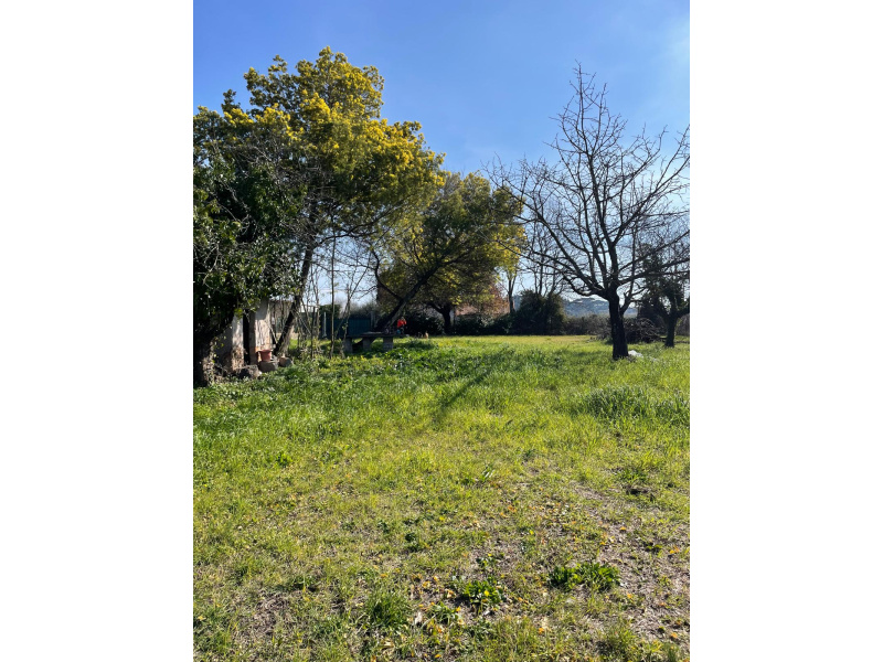 Tipologia Immobile: terreno agricolo Provincia: roma Comune: genzano di roma Località:  Indirizzo: Via della Selva