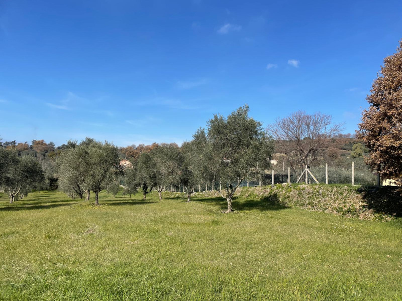 Tipologia Immobile: terreno agricolo Provincia: roma Comune: genzano di roma Località:  Indirizzo: Via della Selva