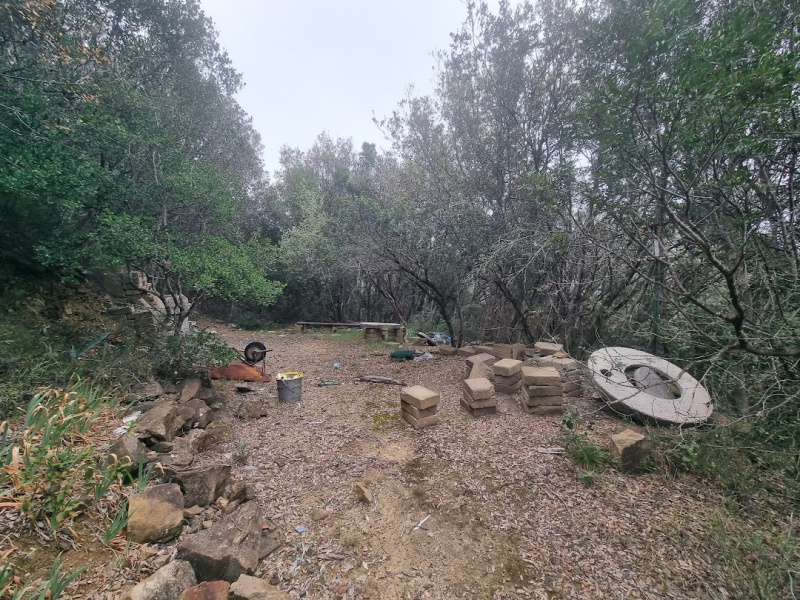 Tipologia Immobile: terreno agricolo Provincia: roma Comune: santa marinella Località: centro urbano Indirizzo: Strada Poggio del Principe