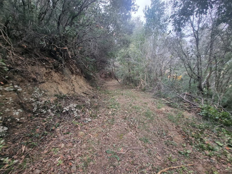 Tipologia Immobile: terreno agricolo Provincia: roma Comune: santa marinella Località: centro urbano Indirizzo: Strada Poggio del Principe
