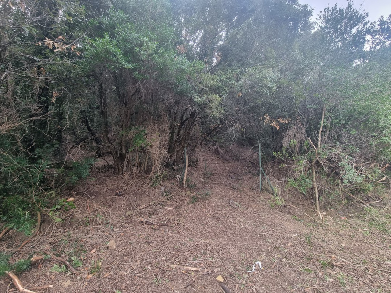 Tipologia Immobile: terreno agricolo Provincia: roma Comune: santa marinella Località: centro urbano Indirizzo: Strada Poggio del Principe