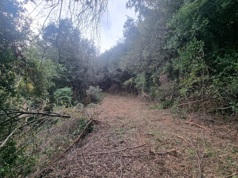 Tipologia Immobile: terreno agricolo Provincia: roma Comune: santa marinella Località: centro urbano Indirizzo: Strada Poggio del Principe