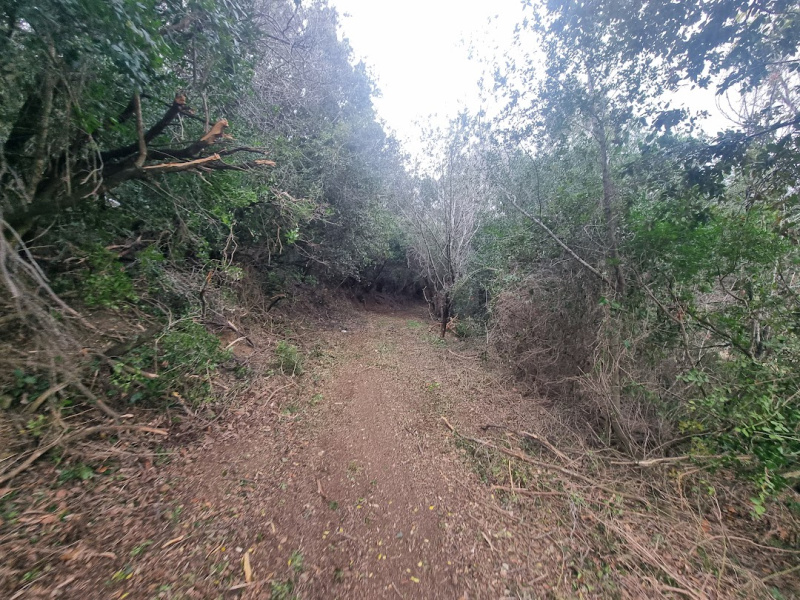 Tipologia Immobile: terreno agricolo Provincia: roma Comune: santa marinella Località: centro urbano Indirizzo: Strada Poggio del Principe