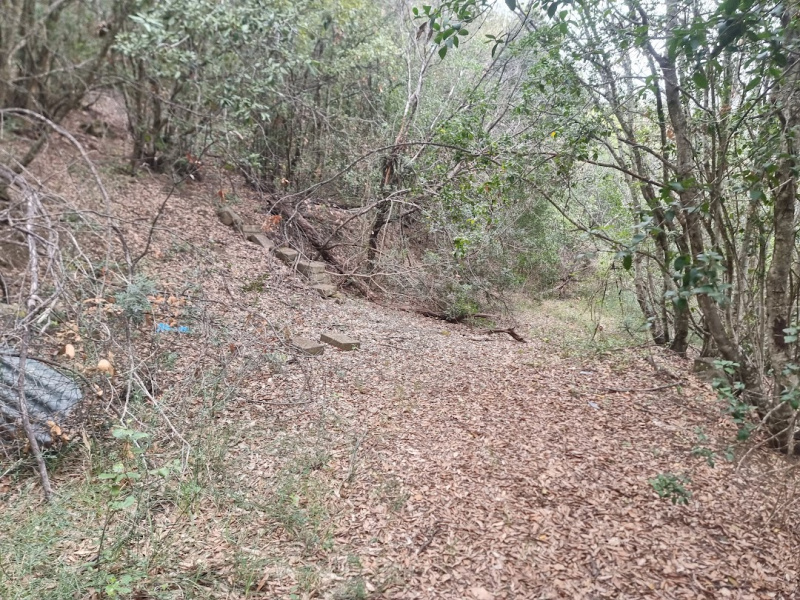 Tipologia Immobile: terreno agricolo Provincia: roma Comune: santa marinella Località: centro urbano Indirizzo: Strada Poggio del Principe