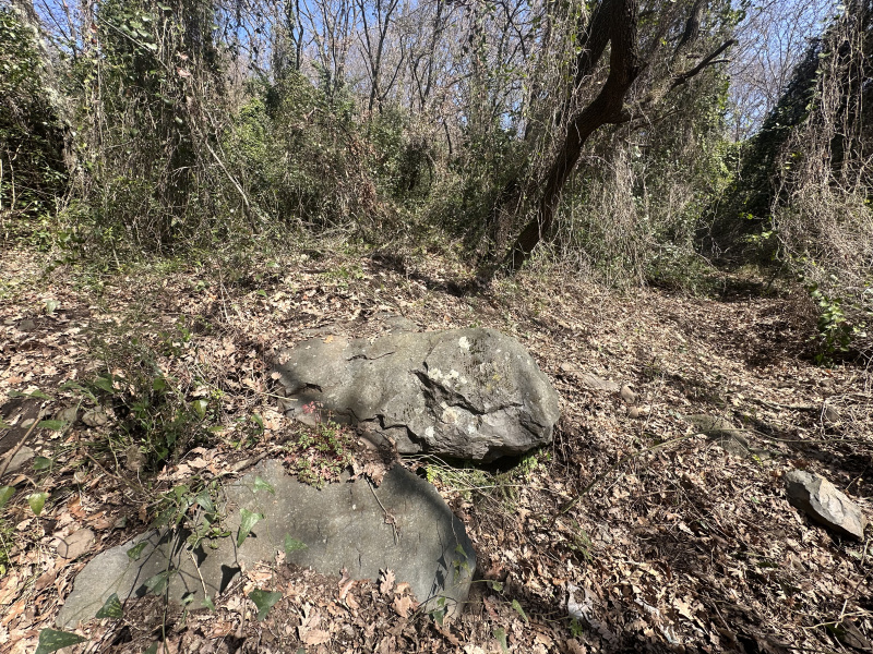 Tipologia Immobile: terreno agricolo Provincia: roma Comune: trevignano romano Località:  Indirizzo: Via San Bernardino del Malpasso