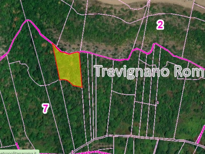 Tipologia Immobile: terreno agricolo Provincia: roma Comune: trevignano romano Località:  Indirizzo: Via San Bernardino del Malpasso