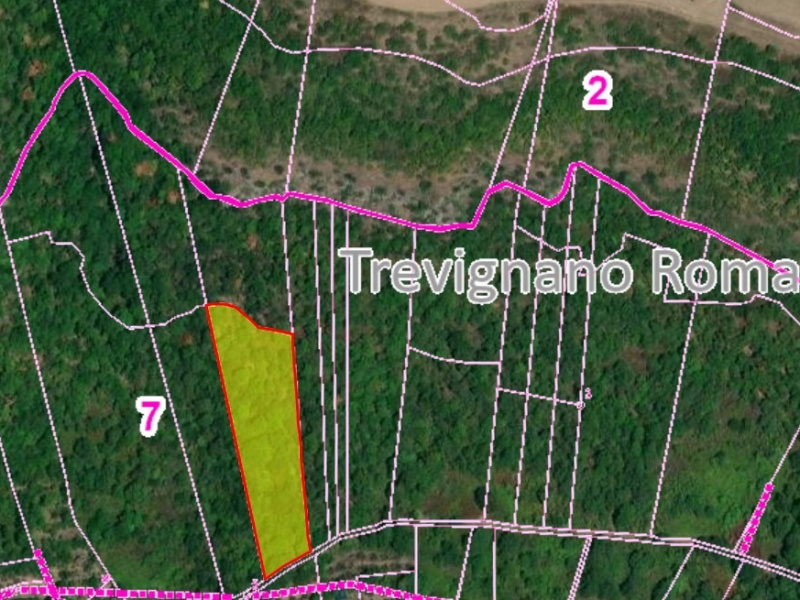 Tipologia Immobile: terreno agricolo Provincia: roma Comune: trevignano romano Località:  Indirizzo: Via San Bernardino del Malpasso