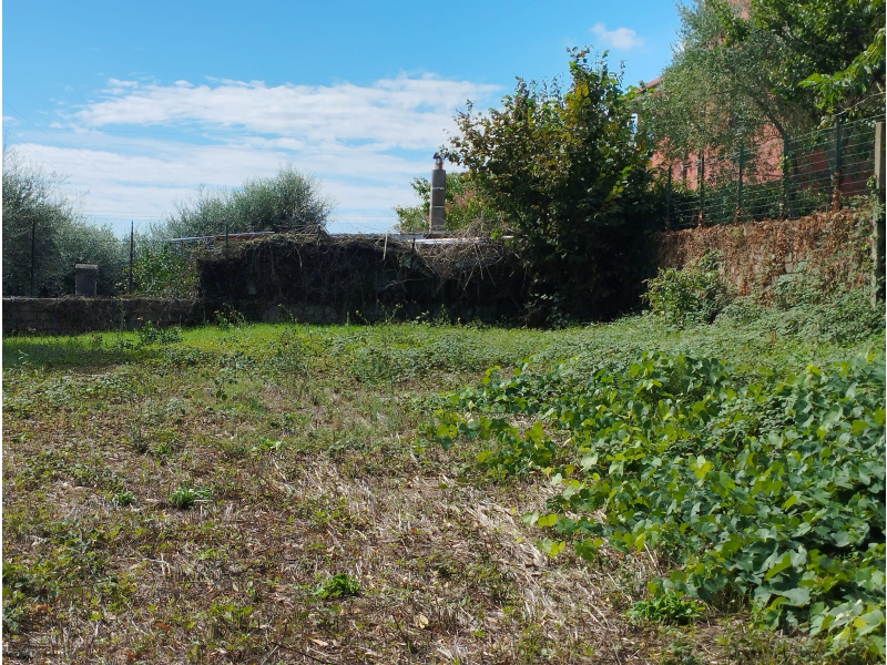 Tipologia Immobile: terreno edificabile Provincia: roma Comune: roma Località: valle muricana Indirizzo: Via Zavattarello