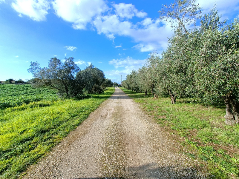 Tipologia Immobile: villa / indipendente / semi indipendente Provincia: latina Comune: aprilia Località: fossignano Indirizzo: Via del Tronco