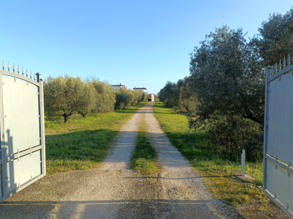 Tipologia Immobile: villa / indipendente / semi indipendente Provincia: latina Comune: aprilia Località: fossignano Indirizzo: Via del Tronco